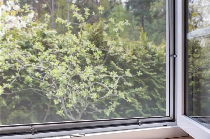 Window Screen Repair: DIY or Professional?