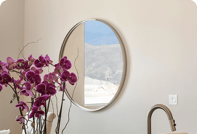 Decorative Mirrors